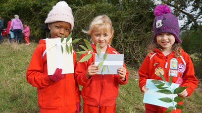 Bookings are open for Faurefold Activity Days